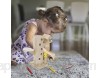 Jooheli Jeux Magnétique pour Fille 2 Ans Jeux Montessori pour Enfants Gibier de Capture Motricité Jouets Cadeau de Jouet éducatif pour Enfants - Jeu Qui Développe Les Compétences Cognitives