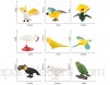 TOYANDONA 10 Pcs Réaliste Oiseau Chiffres Animaux Figurines en Plastique Miniature Simulation Oiseau Perroquet Flamingo Aigrette Science Enseignement Jouets