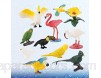 TOYANDONA 10 Pcs Réaliste Oiseau Chiffres Animaux Figurines en Plastique Miniature Simulation Oiseau Perroquet Flamingo Aigrette Science Enseignement Jouets